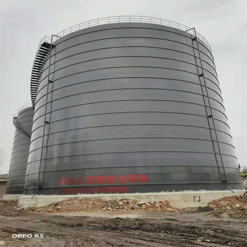 六枝特3万吨大型钢板库