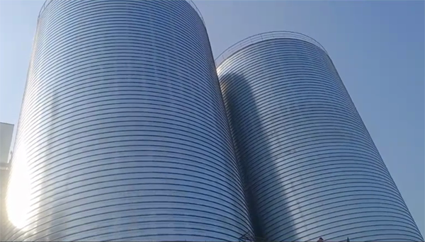 六枝特2座混凝土高架卷板仓